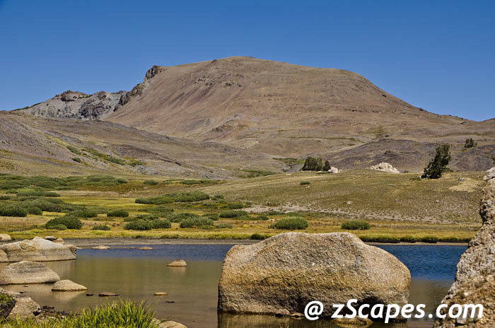 bigsam-xredbuglk-emw1208-2674