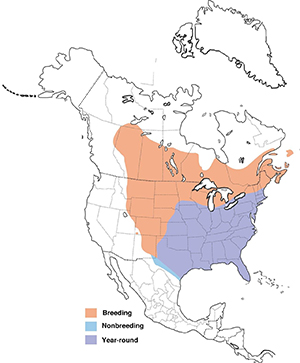 commongrackle-map