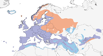 eurasianblackbird-map