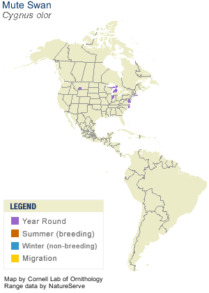 muteswan-map