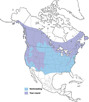 redbreastednuthatcher-map