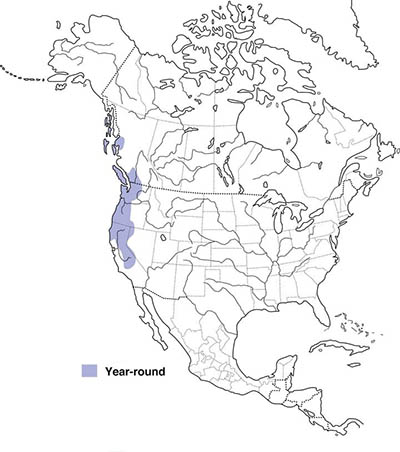 sootygrouse-ynp06-range