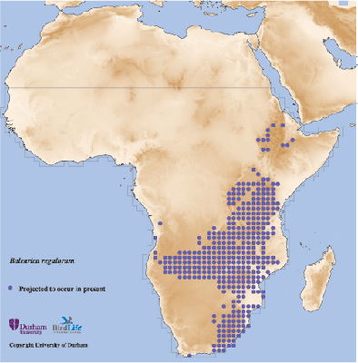 safricancrane-map