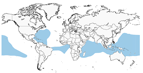 whitetailedtropicbird-map