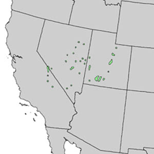 bristleconepine-rangemap