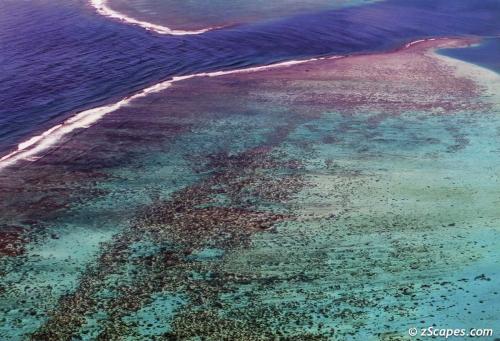 Outer island reef