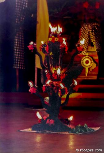 Tree of fire