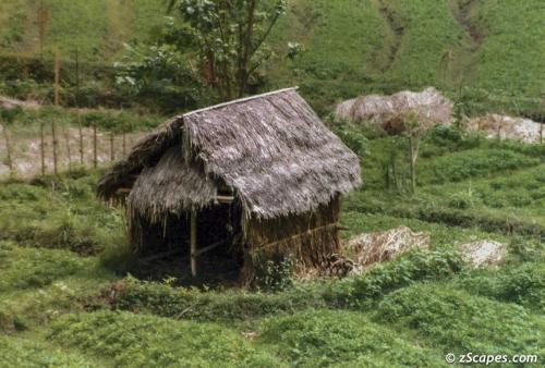 Farm Hut