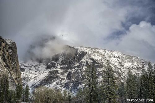 Half Dome Ravens