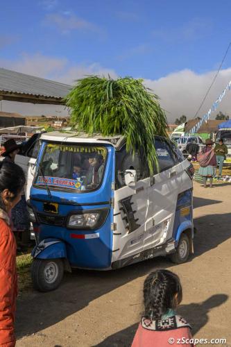 Tuk Tuk delivery