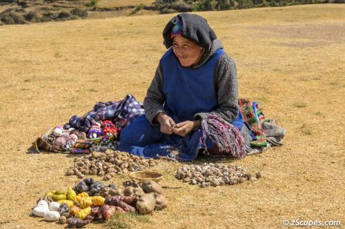 Traditonal potato & goruds 