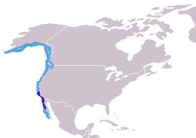 elephantsealnorthern-map