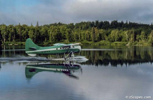 DH Otter leaving us to fend for ourselves