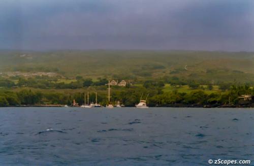 Heading home to the harbor