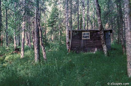Backwoods cabin