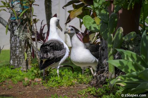 Beaking Ok That's Enough